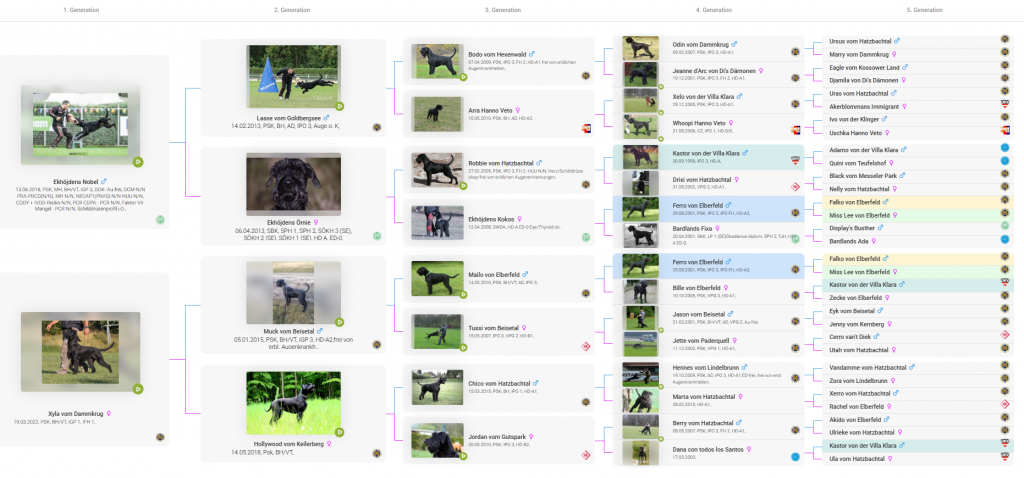 https://www.working-dog.com/dogs-details/8151345/Agnes-vom-Priesterbruch