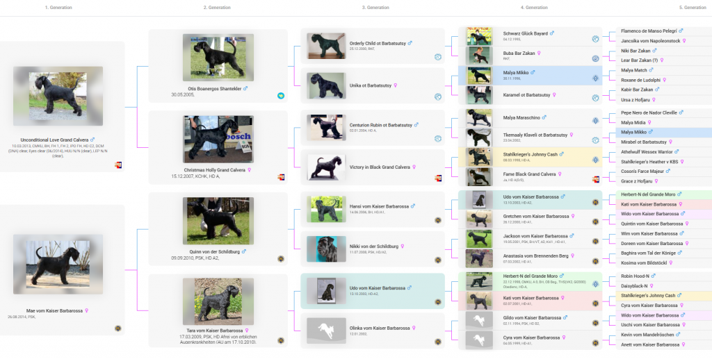 https://de.working-dog.com/dog/Betty-vom-Harlingerland-7217043/extended-pedigree